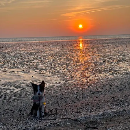 Wattn Kiste Welcome Daire Büsum